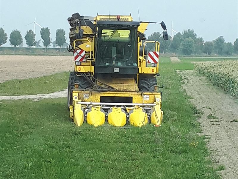 Pixall DB18-Erntemaschine für Zuckermais auf dem Feld